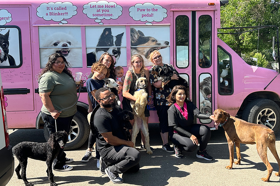 Groomers Donated Their Time