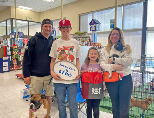 Happy Tails: 4 Heartwarming Adoptions at Petco Modesto