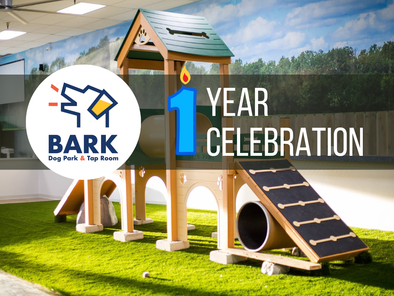 BARK 1 Year Celebration